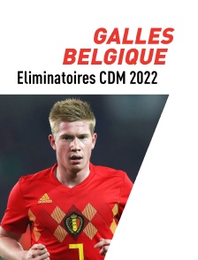 Football : Eliminatoires de la Coupe du monde UEFA - Pays de Galles / Belgique