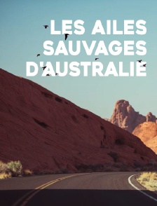 Les ailes sauvages d'Australie