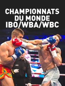 Championnats du monde IBO/WBA/WBC