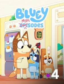 France 4 - Bluey Minisodes