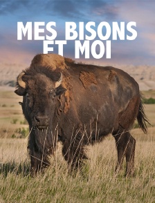 Mes bisons et moi