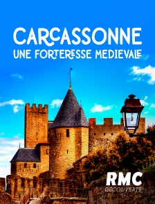Carcassonne, une forteresse médiévale