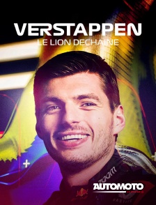 Automoto - Max Verstappen : Le Lion déchainé