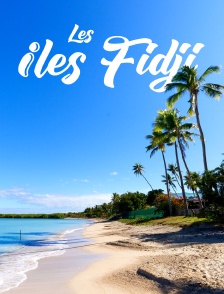 Les îles Fidji : Paradis des mers du Sud