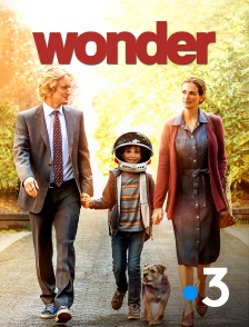 Wonder