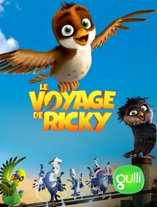 Gulli - Le voyage de Ricky