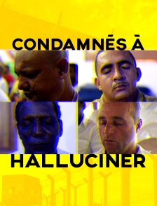 Condamnés à halluciner