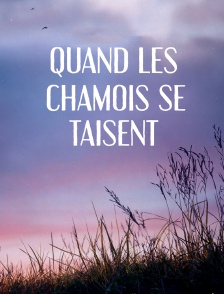 Quand les chamois se taisent