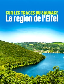 Sur les traces du sauvage : La région de l'Eifel