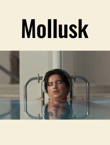 Mollusk