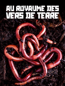 Au royaume des vers de terre : La vie du sol dévoilée