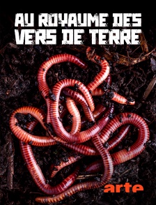 Arte - Au royaume des vers de terre : La vie du sol dévoilée