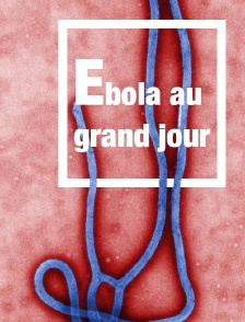 Ebola au grand jour