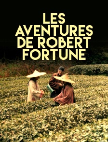 La guerre du thé, les aventures de Robert Fortune