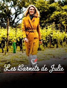 Les carnets de Julie