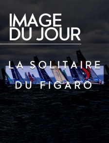 Image du jour : Solitaire du Figaro