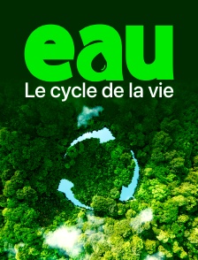 Eau - Le cycle de la vie