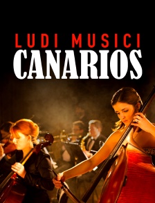 Ludi musici : Canarios