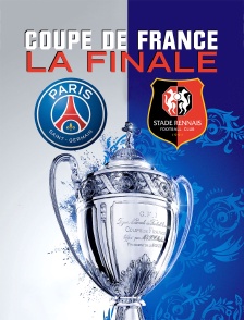Football - Coupe de France : Paris-SG / Rennes