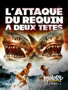 Molotov channels - L'attaque du requin à deux têtes