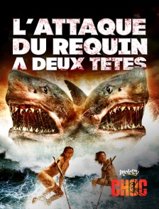 L'attaque du requin à deux têtes