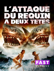 Molotov Channels TEST FAST - L'attaque du requin à deux têtes