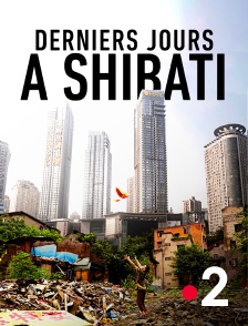 Derniers jours à Shibati