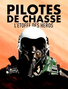 Pilotes de chasse : l'étoffe des héros