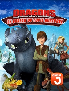 Canal J - Dragons : le cadeau du furie nocturne