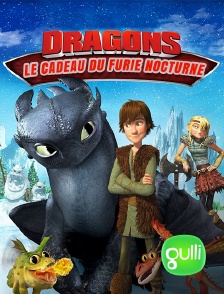 Gulli - Dragons : le cadeau du furie nocturne