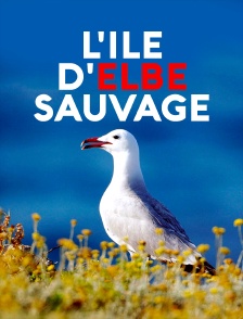 L'île d'Elbe sauvage