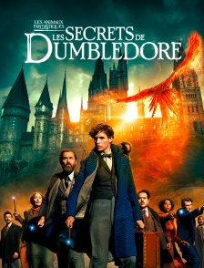 Les animaux fantastiques : les secrets de Dumbledore