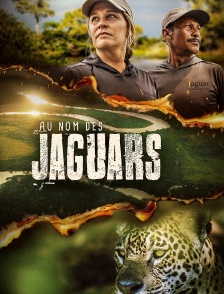 Au nom des jaguars