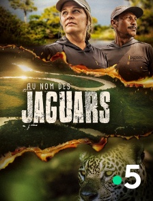 France 5 - Au nom des jaguars