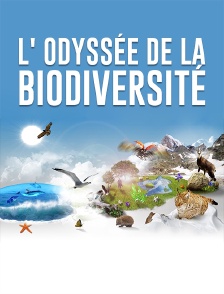 L' odyssée de la biodiversité