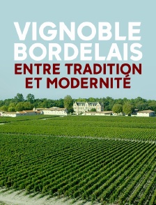 Vignoble bordelais, entre tradition et modernité