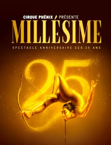 Le Cirque Phénix - 25 ans