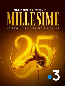 France 3 - Le Cirque Phénix - 25 ans