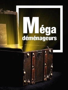 Méga déménageurs