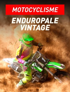 Enduropale Vintage