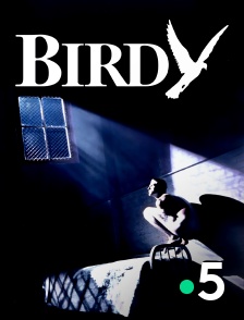 France 5 - Birdy