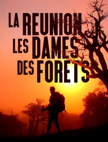 La Réunion : les dames des forêts