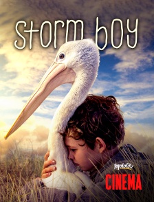 Molotov Channels Cinéma - Storm Boy l’enfant de la tempête