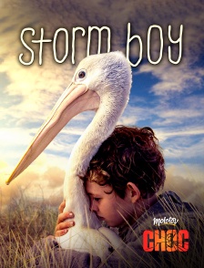 Molotov Channels CHOC - Storm Boy l’enfant de la tempête