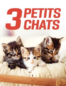 Trois petits chats