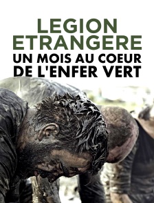 Légion étrangère : un mois au coeur de l'enfer vert