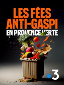 France 3 - Les fées anti-gaspi, en Provence verte
