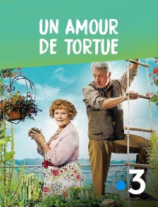 France 3 - Un amour de tortue