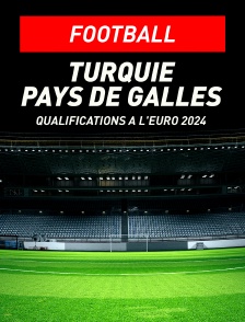 Football - Qualifications à l'Euro 2024 :  Turquie / Pays de Galles