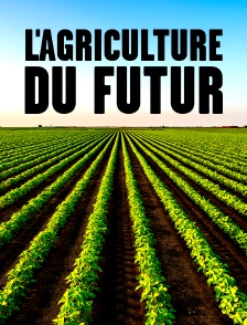 L'agriculture du futur : Révolution dans les plantations